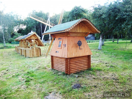 foto239