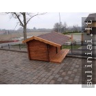 foto38