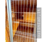 foto589